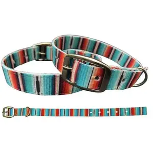 Teal Serape Southwest design nylon dog collar.