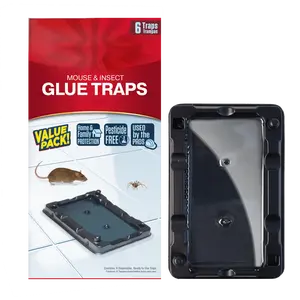 Indoor Mouse & Insect Glue Traps, Ready-to-Use Sticky Pest Catcher for Roaches, Spiders & Crawling Bugs, 6 Count