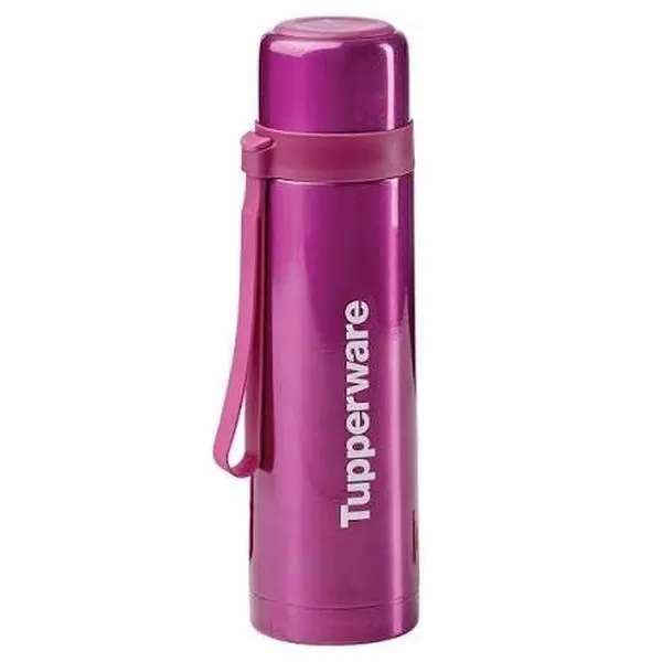 500ml Purple Stainless Steel Thermal Water Bottle, Portable Beverage Container with Lid, Reusable Bottled Drinkware for Kitchen Use