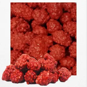 French Burnt Peanuts - 1 Pound, Crunchy Texture, Rich Flavor, Perfect for Snacking