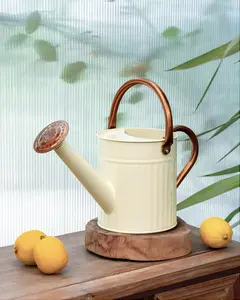 Bamworld Vintage Stainless Steel No-Drip Watering Can, 0.5 Gal Compact Capacity, Durable with Adjustable Removable Spout & Metallic Embossed Finish, Creamy Indoor-Outdoor Garden Plant Tool for Home Décor, Adjustable Spout, No-Drip Watering Cans