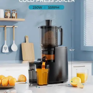 Cold Press Juicer - High Quality Juice Extractor Blender