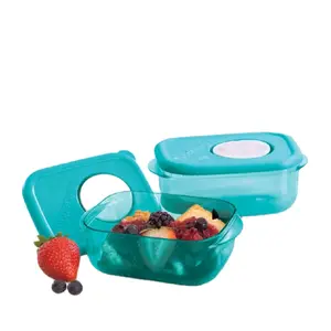 Mini Duo Rectangular Crystal Ware Set - 260ml Containers, Microwave Safe, Traditional Tableware, Lunch Boxes, Elegant Design