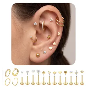 17PCS Stainless Steel Flat Back Earrings Set for Women Men, Hypoallergenic CZ Stud & Hoop Earrings for Multiple Piercings, Cartilage Helix Tragus Earrings with Insertion Guiding Needle