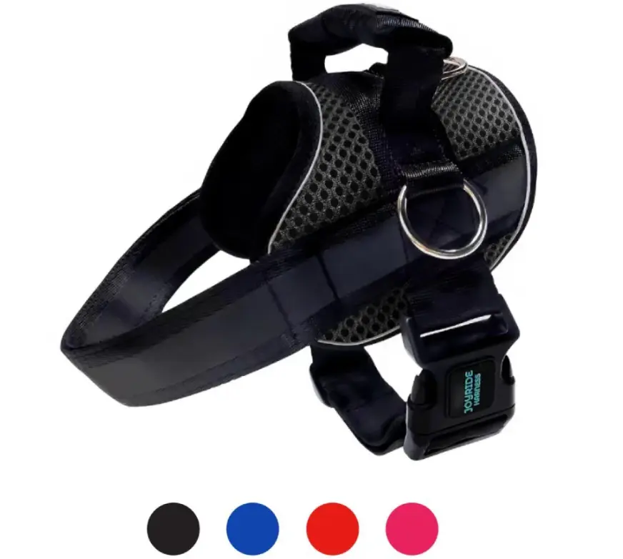 Breathable Mesh Dog Harness for Summer Walks, Lightweight No Pull Pet Vest, Reflective Safety Strips, Easy On & Off, Adjustable Fit, Custom Name Tag Area for Small Medium Large Dogs | Joyride Dogs