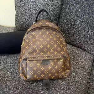 Pre-owned Louis Vuitton LV Palm Springs Medium Backpack, Classic Monogram Canvas, Gold Zipper