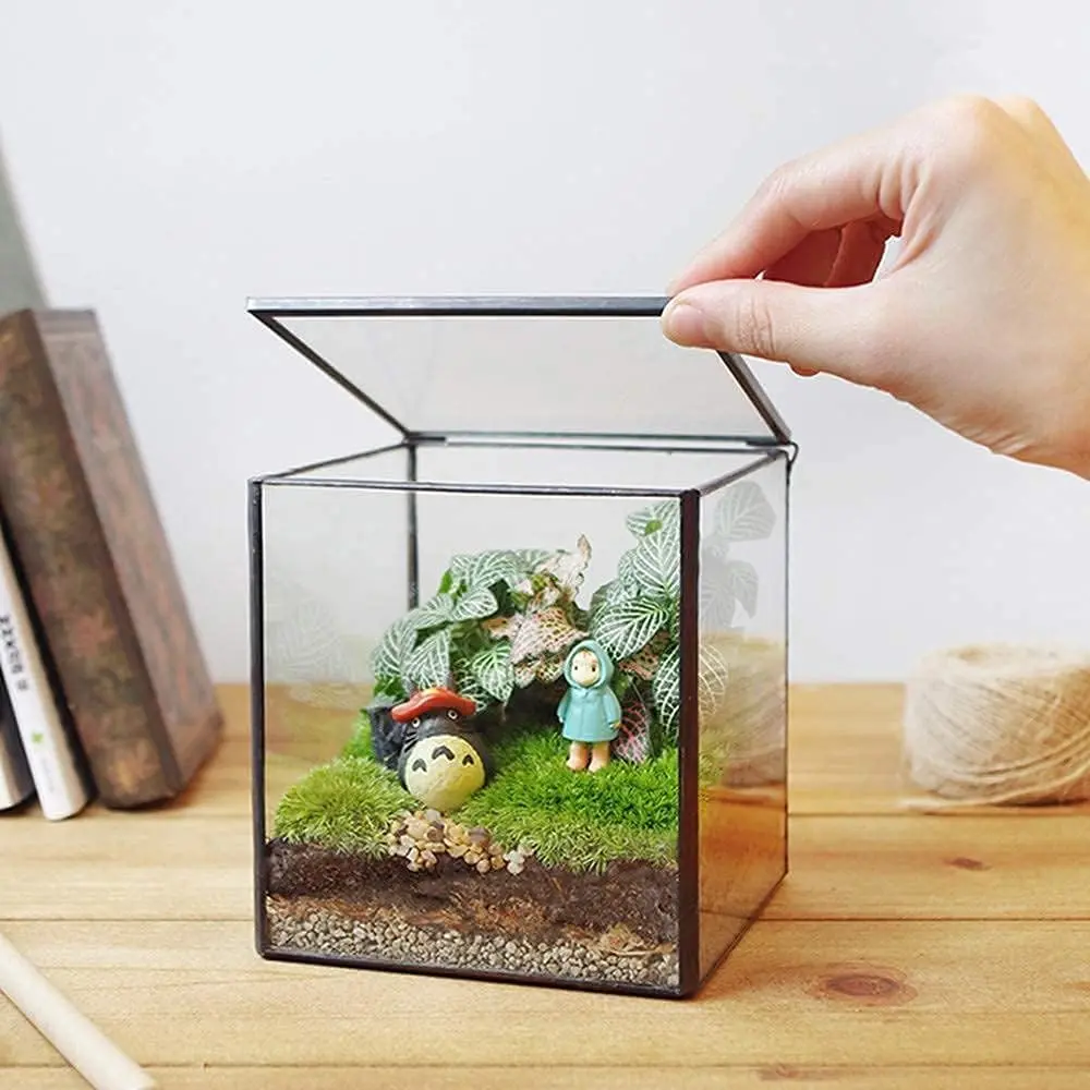 Square Glass Terrarium with Lid Small Indoor Moss Terrarium for  Succulent Geometric Terrarium Box Black Small Handmade Tabletop Glass Planter Box for Desktop 4.3 x 4.3 x 4.7inch
