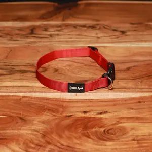 Adjustable Nylon Dog Collar Savage Red