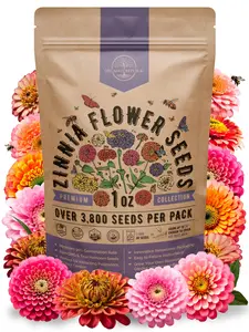 Zinnia Seeds Pack 1 oz - Over 3,800 Non-GMO Heirloom Zinnia Seeds for Planting, Annual Flowers in Individual Seed Packet, Flower Seed for Planting Home Garden Indoor & Outdoor Gardening