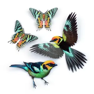 💫New💫 Madagascan Sunset Moth & Flame-Faced Tanager - The Echo Collection - 'Flutter & Flight'