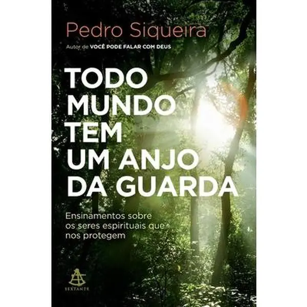 USED Book - Todo mundo tem um anjo da guarda by Siqueira, Pedro (Paperback) - portuguese