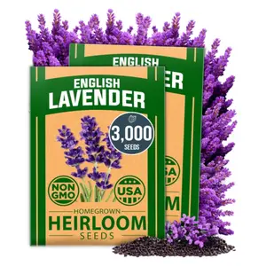 HOME GROWN Premium English Lavender Seeds 2 Pack, 3000 Non-GMO Herb Seeds, USA-Sourced Wildflower Seed for Planting Indoor/Outdoor, High Germination, Plant Flower Seeds (Lavandula antustifolia)