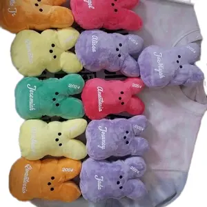 Custom Peeps for Easter -  Plush Figures in Assorted Colors with Unique Designs custom names and year