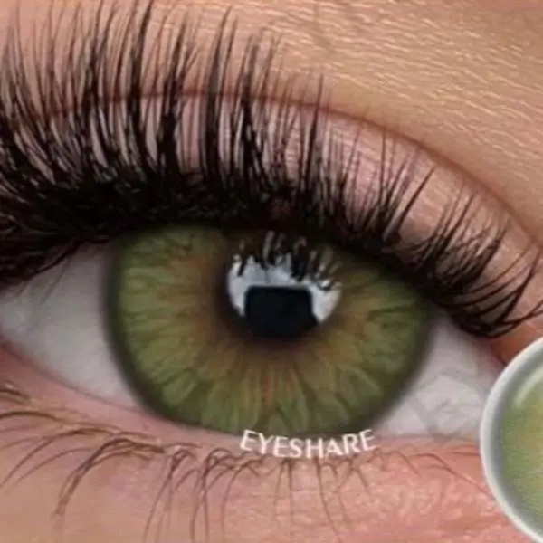 Multi-Pack False Lashes, Natural Look, Reusable Eye Makeup Accessories for Daily Wear