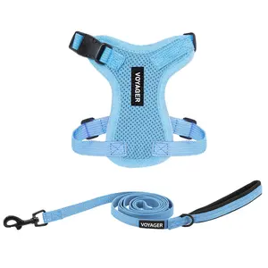 Voyager Step-In Lock Cat & Small Dog Harness and Leash Combo Set - Escape-Resistant Vest with 5ft Neoprene Handle Leash for Small Medium Large Cats - Adjustable, Breathable Mesh, Secure Lock by Best Pet Supplies