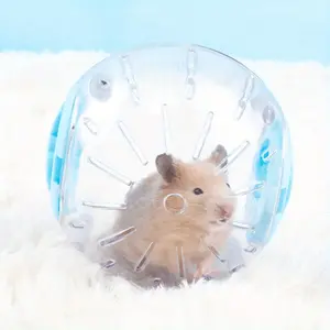 1pc Plastic Outdoor Sport Ball Color Cover Running Ball Small Pet Hamster Toys Pet Supplies Transparent Roller Fitness Crystal Sports Wheel