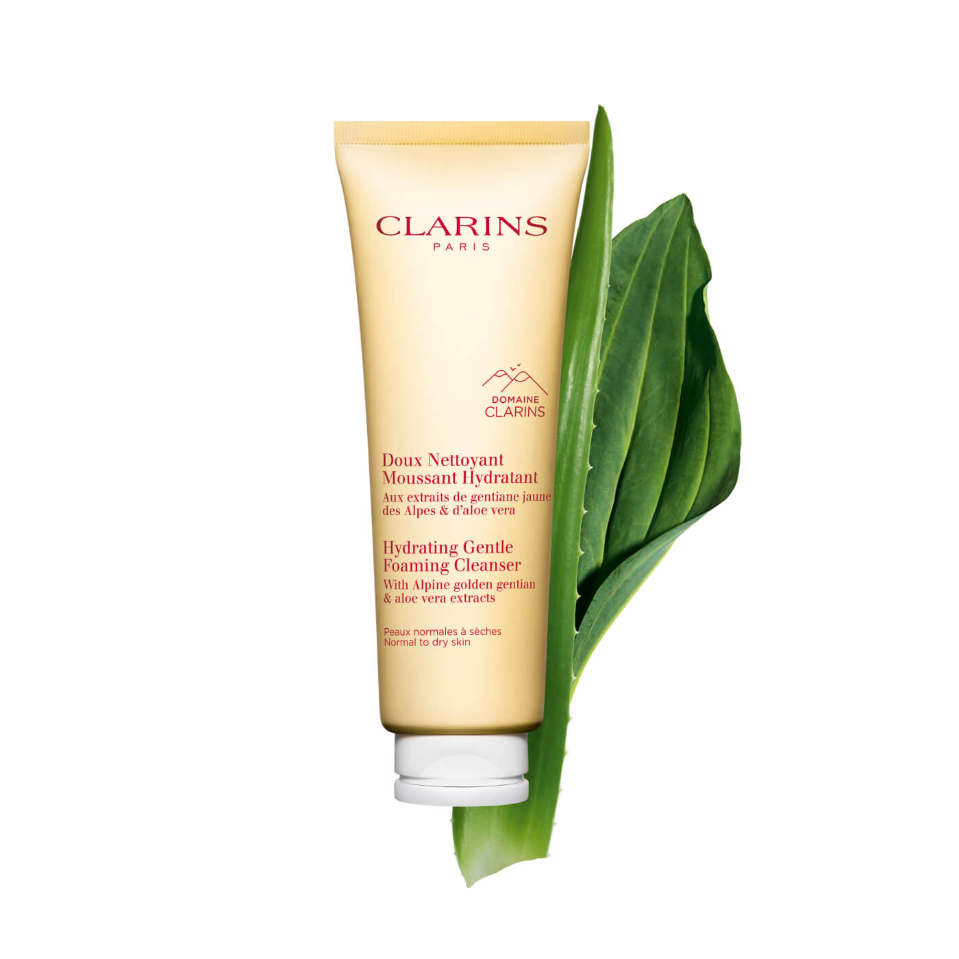 Hydrating Gentle Foaming Face Cleanser for Normal to Dry Skin