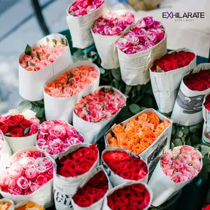 Women's Body Scrub - Spring/Summer Collection