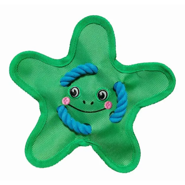 Five-cornered green frog