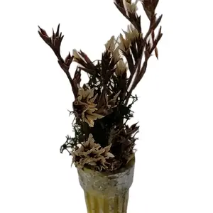 Handmade Miniature Dried Plant in a Pot - Home Decor glass globe