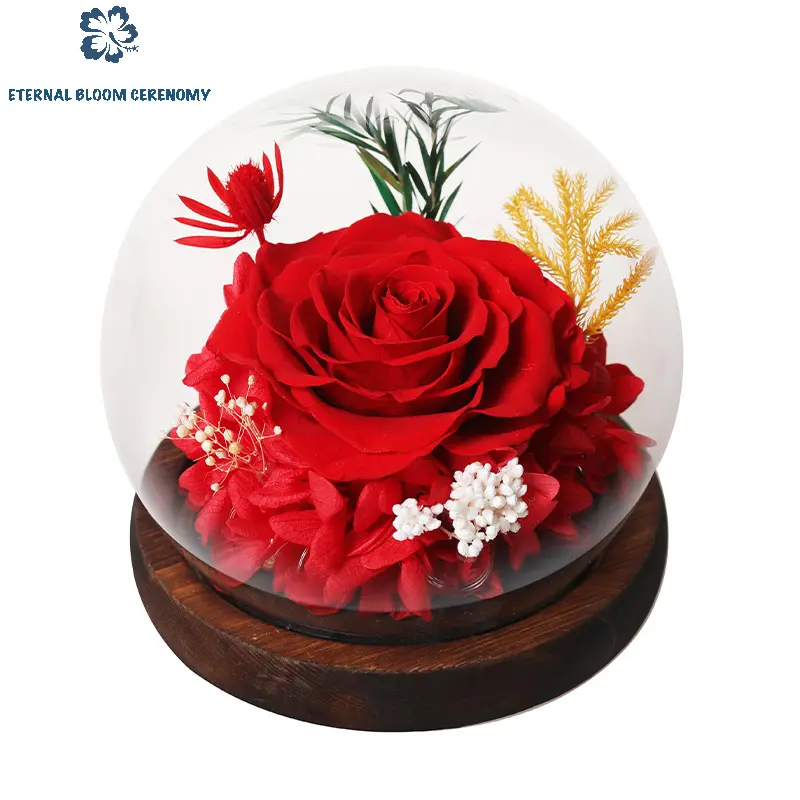 ETERNAL BLOOM CERENOMY Azure Preserved Real Rose Flower in Glass Dome with LED Light - Women's Enchanted Decor Gift, Home & Festive Party Supply, Mother's Day Mom Gift, Flowers, Decorative, Roses