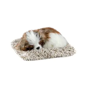 Mini Shih Tzu Perfect Petzzz