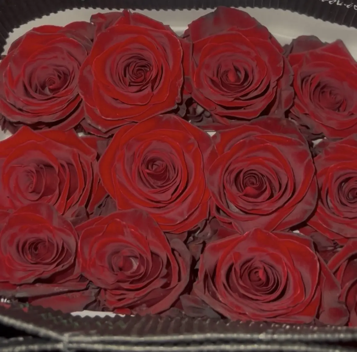 PREMIUM RED ECUADORIAN ROSES (REAL ROSES)