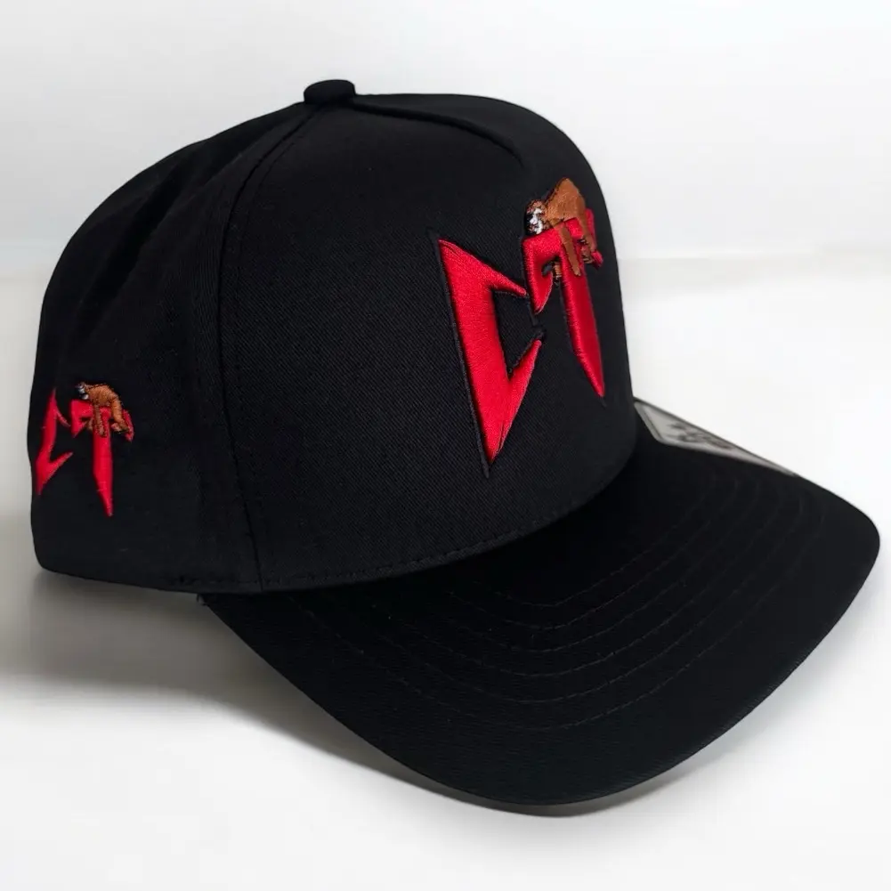 Hat CT SnapBack corridos Tumbados 3D embroidery