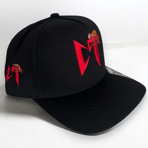 Hat CT SnapBack corridos Tumbados 3D embroidery