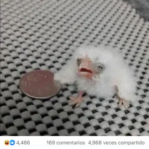 2+2pcs Matte Privacy Screen Protectors with Camera Lens Protectors for iPhone Series, Matte Tempered Glass Anti-Spy 9H Hardness Anti-Scratch Privacy Glass Protectors, Compatible with iPhone 17/16/15/14/13/12/11 Air/Plus/Pro/Pro Max Series