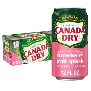 Canada Dry Strawberry Fruit Splash 12 Fl Oz Cans - Caffeine Free Ginger Ale with Real Juice Splash Beverage