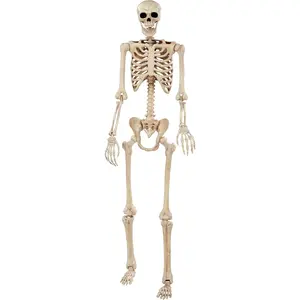 Pose-N-Stay Halloween Skeleton, 6 FT - Life-Size, Realistic, Fully Poseable Indoor & Outdoor Decoration, Durable Weather-Resistant Spooky Prop for Yard, Porch, Haunted House