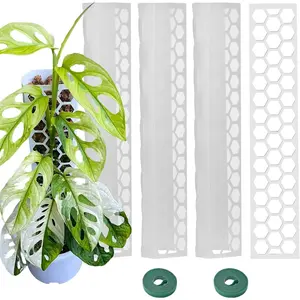 Plastic Moss Pole 4 Pack 17 Inch for Climbing  Monstera, Moss Pole Support for Indoor ,  Support for Monstera Work with Sphagnum Moss,  Lover Gifts(White)
