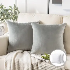 Soft Silky Velvet Series Square Decorative Throw Pillow Cusion for Couch, 20" x 20", Light Gray, 2 Pack, Hidden zipper, Both