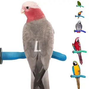Sweet Feet & Beak Safety Pumice Bird Perch, Large 1-1/2" x 12" - Lightweight Nail Trimming Perch for Parrots, Healthy Beak & Feet - Cage Accessory