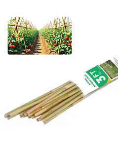 2FT-6FT Natural Bamboo Plant Stakes, Garden Support for Tomatoes & Flowers Peppers Durable