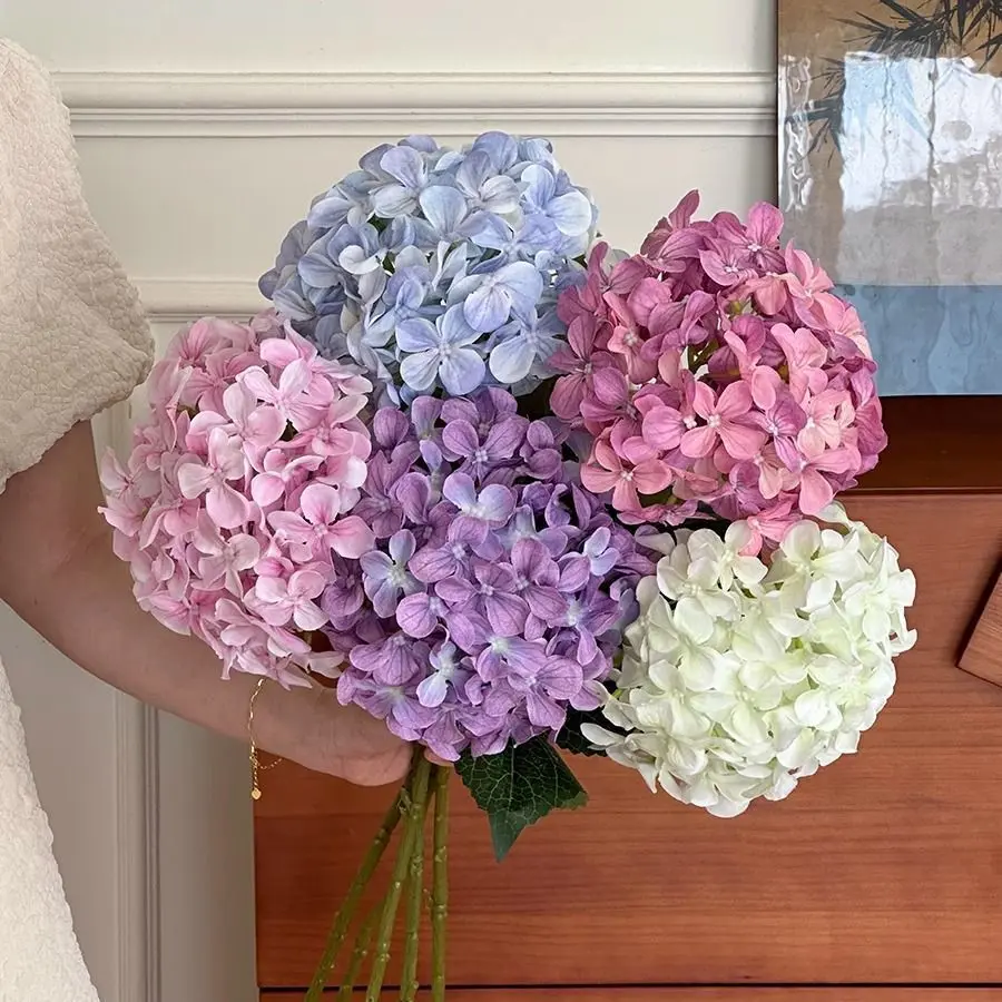 1 stem of each of the 5 colors of Elsa Hydrangea