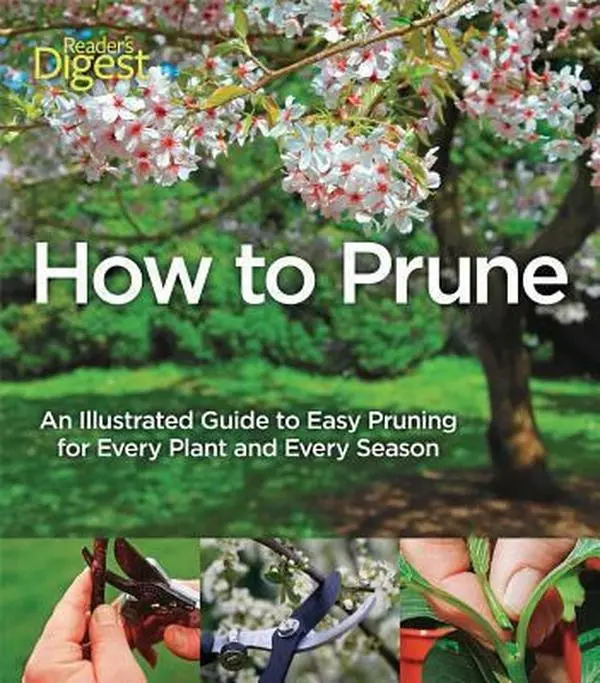 USED-How to Prune: An Illustrated Guide to Easy Pruning for Every Plant and Every Season by John Cushnie (Paperback)