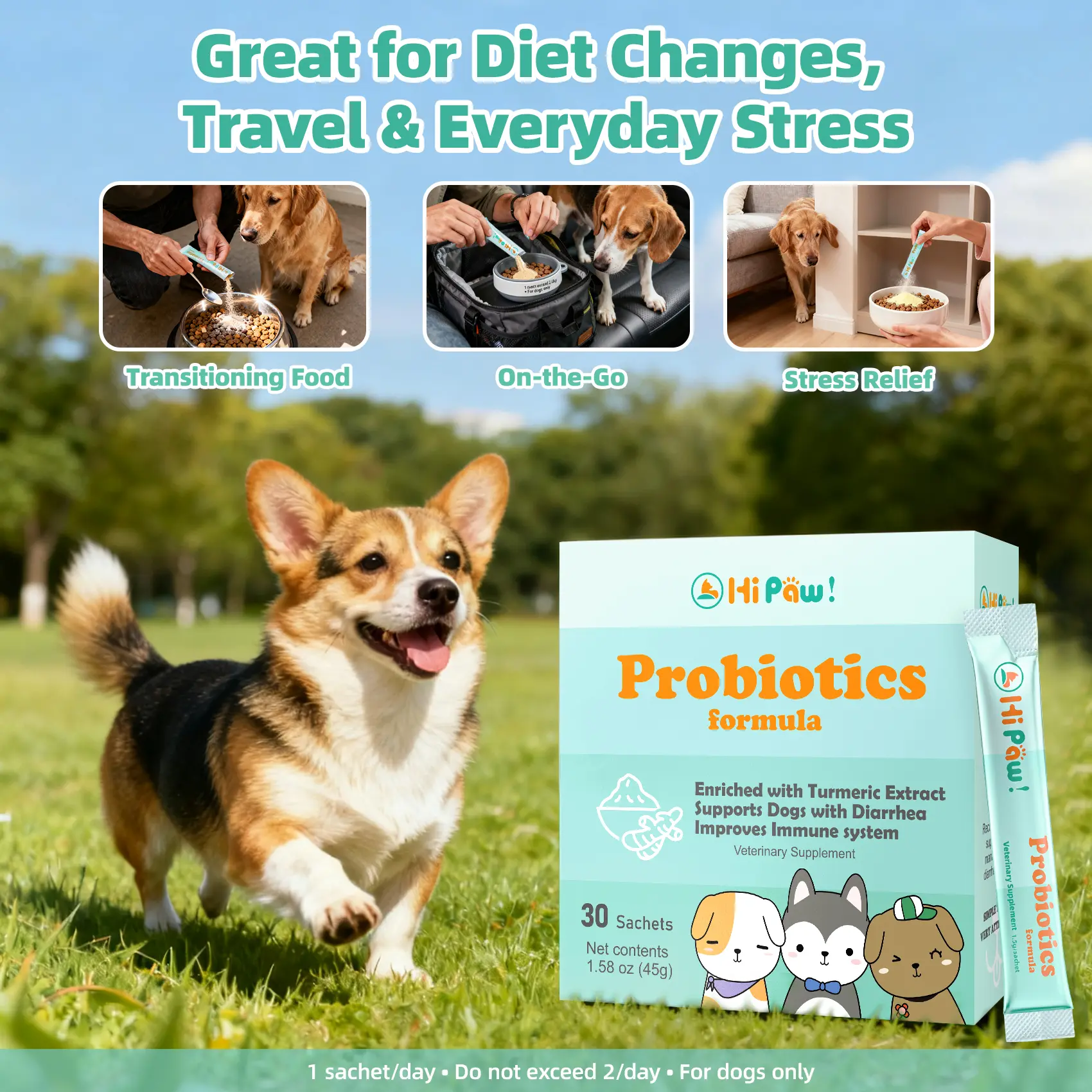 PETLALA Hi PAW! Veterinary Probiotic Formula for Dogs — Enterococcus faecium + Turmeric 95%, 30 Single-Serve Sachets — Daily Digestive Care, Gut Flora Balance, Immune & Stool Support — Sensitive Stomach — USA Made, GMP Certified, Label-True, Batch Tested