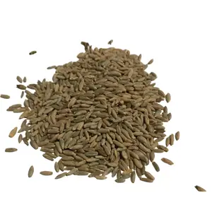 Dry Organic Rye Berries