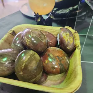 PETRIFIED WOOD PALM STONE