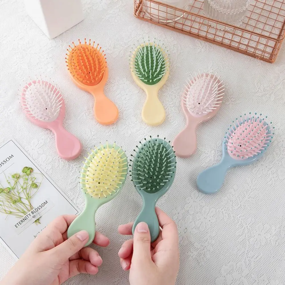 Multicolor 24pcs Detangling Hairbrush Set, Daily Hair Care Tool for Most Hair Types, Smooths and Detangles Dry & Wet Strands