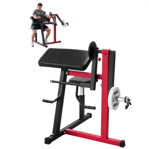 【Summervibes】VEVOR Preacher Curl Machine, 2 in 1 Bicep Curl Machine and Triceps Extension Machine, Seated Arm Isolated Bicep Station, Strength Training Workout Weight Bench, Exercise Equipment for Home Gym