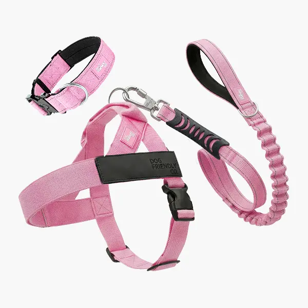 No Pull Dog Harness + Collar Set – Dog Lovers Pack - Dog Friendly CO No Pull Dog Harness + Collar Set – Dog Lovers Pack - Dog Friendly CO
