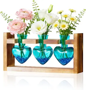 Plant Terrarium Propagation Stations: Gifts for Her - Plant Lovers, Women, Mom, Wife, Daughter 3 Bulb Glass Vase with Wooden Stand Tabletop for Hydroponics Home Garden Wall Decor