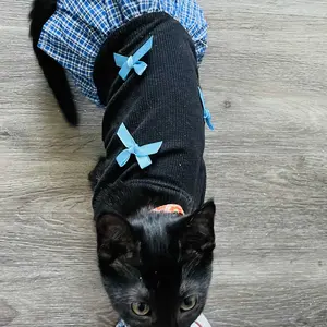 Pet Clothes for Cats & Dogs, Princess Style, Summer Cartoon Costume Dress for Bichon Frise & Yorkshire Terrier