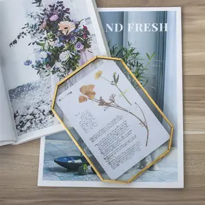 NCYP 5x7inches Glass Gold/ Rose Gold/ Black Floating Frame with Chain, for Pressed Flower, Photo, Pictures, Home Wall Hanging Decor, Frame Only