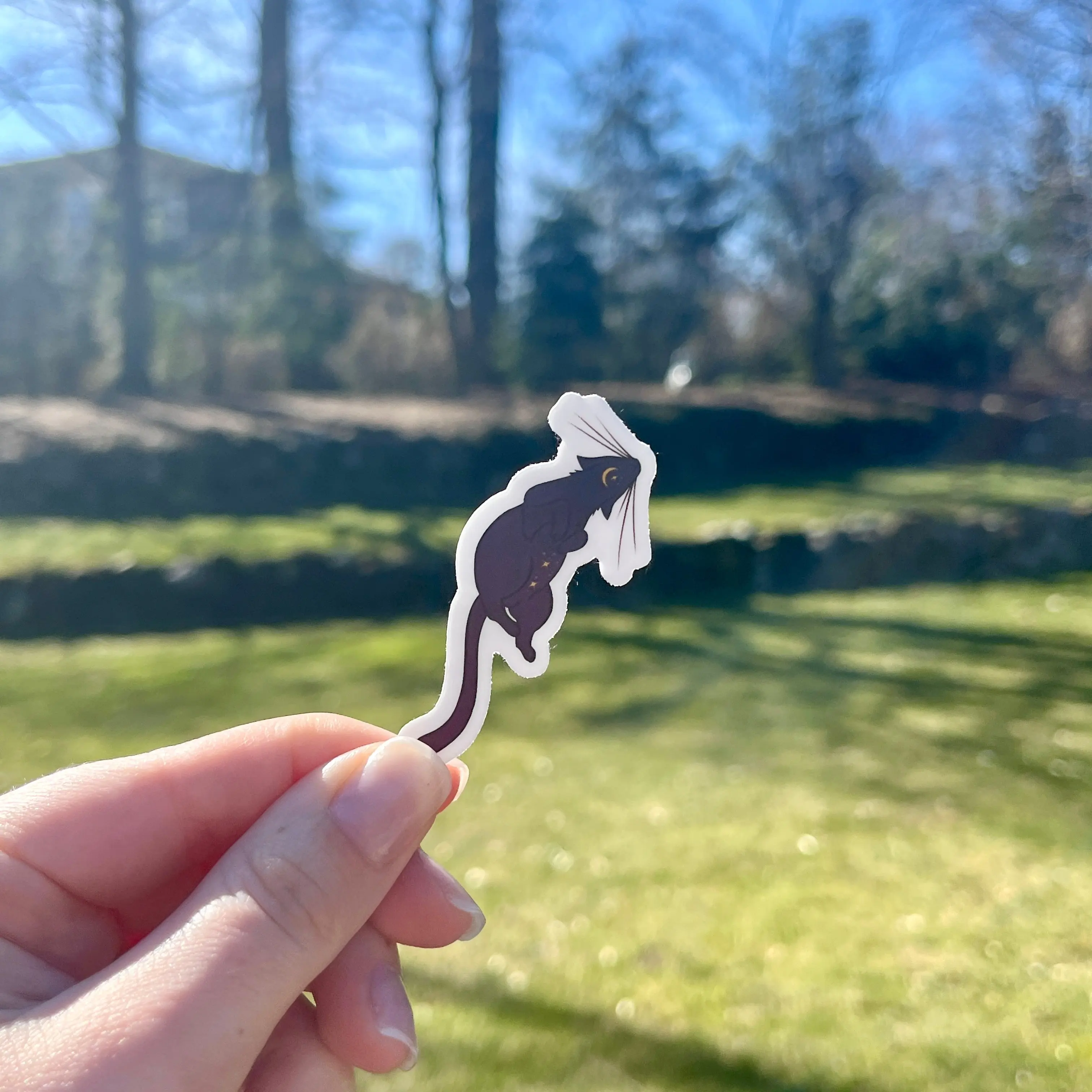 Galaxy Cat 1 Sticker
