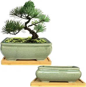 2pcs Green Ceramic Bonsai Planter Pots with Bamboo Tray 6.2 " & 5.3", Rectangular Glazed Bonsai & Succulent Cactus Starter Pot with Drainage Ice Crack Design