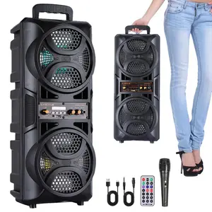 Dazone Bluetooth Karaoke Speaker, Double 6.5“ Subwoofer, Microphone, Remote, FM, MP3 Player, LED Lights. Audio Rechargeable